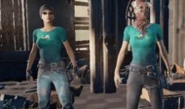 吃鸡爆料最新衣服,全新潮流服饰亮相，引领游戏时尚潮流！